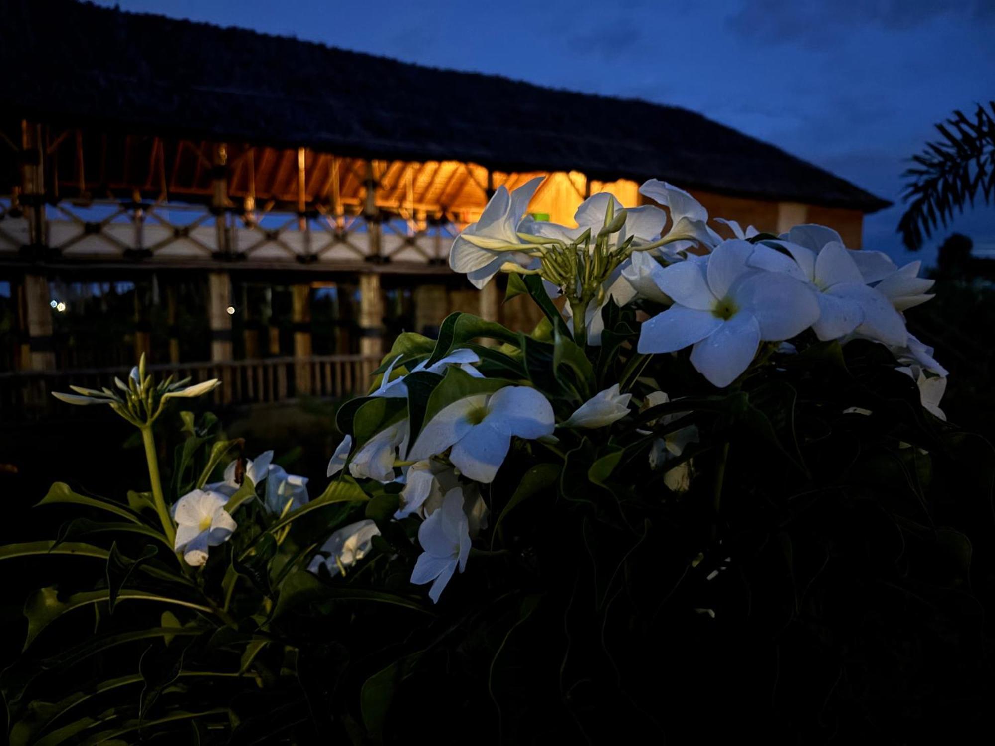 Mowgli'S Cafe Hampi & Guest House Buitenkant foto